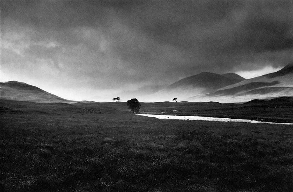 *Figure 2. Four trees, Rannoch Moor* *(Godwin, 1985, p. 16)*